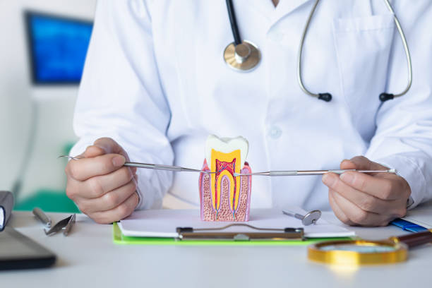 Best Emergency Dental Care for Abscessed Tooth in Lithopolis, OH